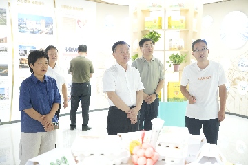 【長(zhǎng)田動(dòng)態(tài)】區(qū)政協(xié)黨組書(shū)記、主席呼廷貴一行蒞臨易豐農(nóng)業(yè)開(kāi)展專(zhuān)題調(diào)研?